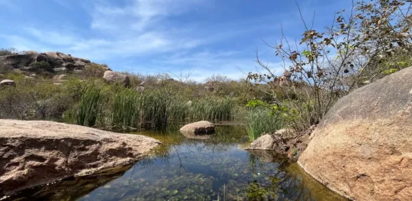 Person meditating among natural elements
